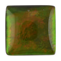 AAAA Canadian Ammolite (Sqr 8x8 mm) 1.50 ctw - Sticky add to cart bar