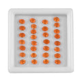 AA Fire Opal Assorted Box (Ovl 4x3 mm) 3.00 ctw - Sticky add to cart bar