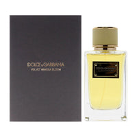 Dolce and Gabbana Velvet Mimosa Bloom