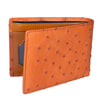 Brick Brown