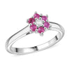 Niassa Ruby