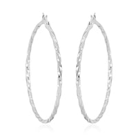 Twisted Hoop Earrings in Stainless Steel