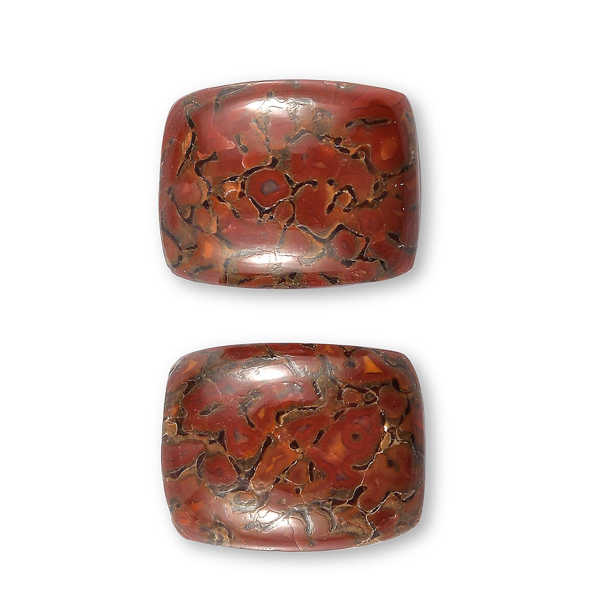 Dino Gem Bone Set of 2 (Cush 10x8 mm) 4.69 ctw